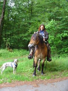 Wanderritt 8 Tage duch die Pfalz