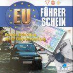Haupt- oder Nebenverdienst