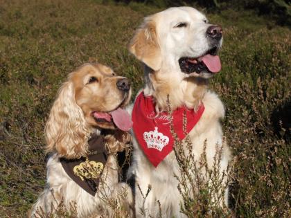 Hundehalstücher handgearbeitet mit Tunnelzug Motive z. B. mit Strass oder Niete