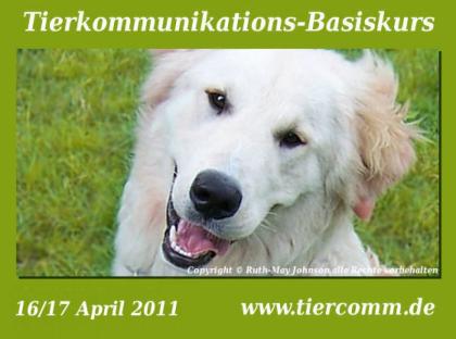 Tierkommunikation Kurs Schleswig- Holstein 16/17 April 2022