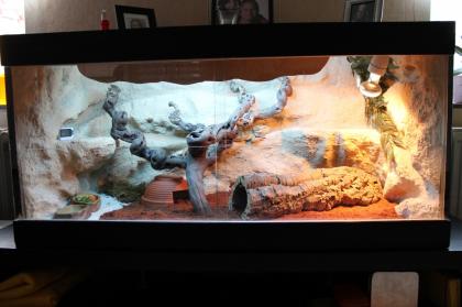 Holzterrarium mit 3D Rück-u. Seitenwänden in Felsoptik 1 20x60x60 fast neu