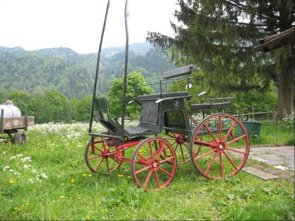 Pferdekutsche Einspänner
