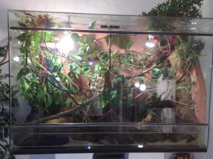 Terrarium 120x0 80x0 60 Günstig zu Verkaufen
