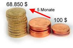Top-Investment 100 5 Monate 68. 850 .