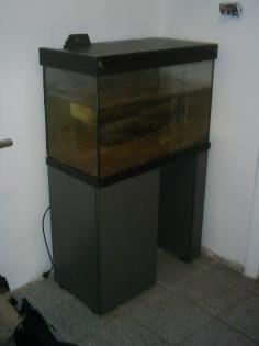 Aquarium abzugeben
