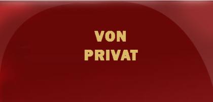 Privatkredit Kredit ohne Schufa Eilkredit Sofortkredit