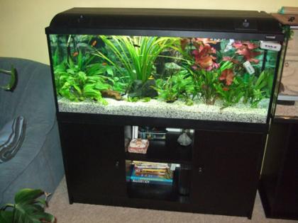 240 L Aquarium Waterhome kompl. abzugeben