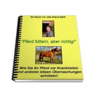 Pferd füttern aber richtig