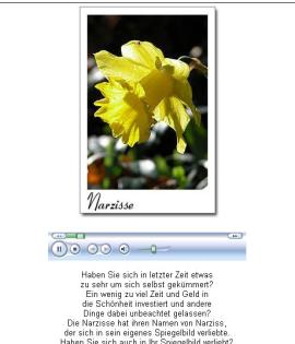 Kostenloses Blumen - Tarot mit Tonausgabe . . . .