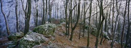 Winterliche Wanderlust auf dem Erzweg