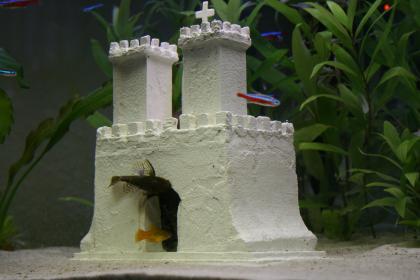 Aquarium Dekoration Hammaburg