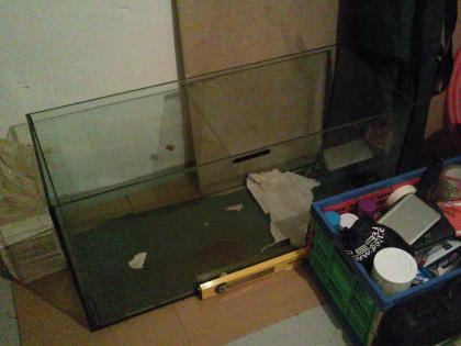 Aquarium abzugeben günstig VB