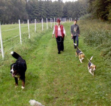 Tierpension für Hund Katze Maus u. a.