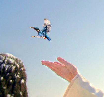 AKTUELL Der bekannte Heiler ROMDHAO in Düsseldorf - Juni 2022 - Eintritt frei