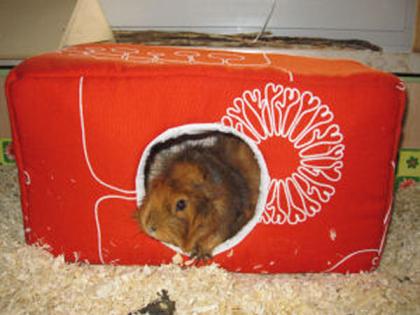 Kuschelsachen Kuscheltunnel Hängematten usw. für Meerschweinchen Ratten us