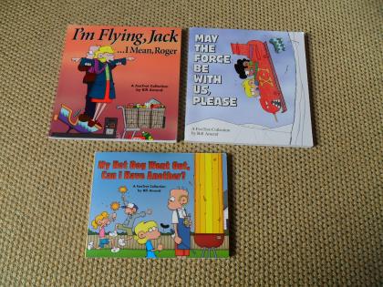 3 Comics FoxTrot englisch