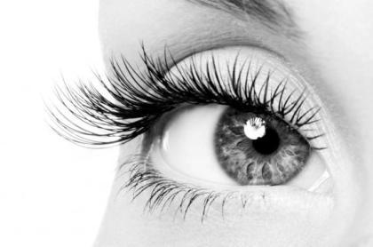 Ausbildung zum XXL Lashes Stylisten-Workshop semi permanente Wimpernverlängerun