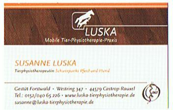 Mobile Tier-Physiotherapie-Praxis für Pferde und Hunde