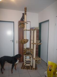 Großer Kratzbaum 7 Moante alt