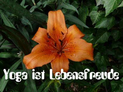 Yoga die eigene Wahrheit finden und leben