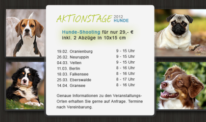Hunde-Fotografie für nur 29 - Euro - Aktionstage in verschiedenen Städten Berlin/B