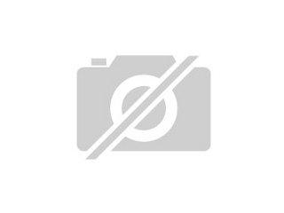 Zwei Ratten Damen suchen Zuhause