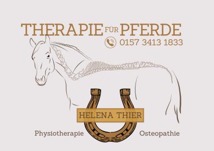 Osteopathie Physiotherapie und Lasertherapie Pferd