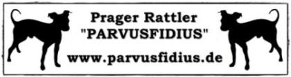 Prager Rattler Parvusfidius bekommt bald Welpen