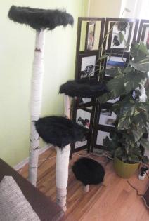 HANDANFERTIGUNG NATURKRATZBAUM SEHR STABIL