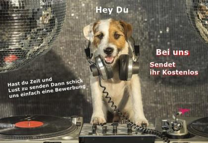 Modis Gesucht