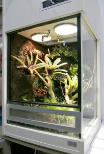 Terrarium für Pfeilgiftfrösche - Paludarium unser Typ P06