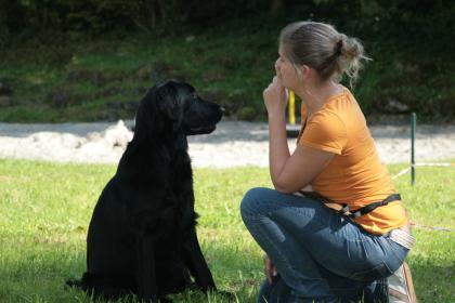 Hundetraining Homöopathie - Andrea Rütten