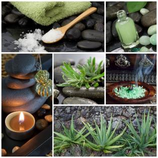 Vertiebspartner Aloe Vera Produkte FLP