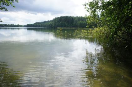 Masurische Seenplatte Seegrundstück