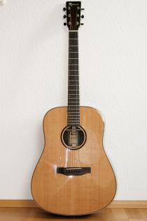 Wie neu Westerngitarre Redwood D-10
