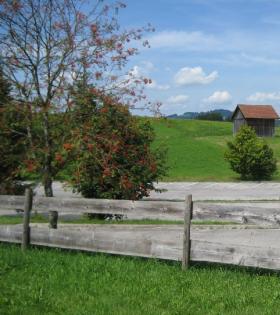 Last Minute Ferienhaus im Allgäu