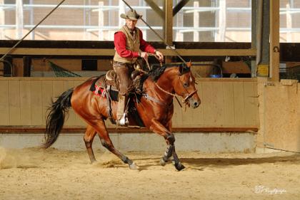 Bosal Mecate Bit Westernsattel Rope Sporen Halstuchringe etc.
