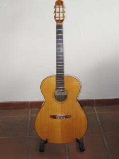 Westerngitarre von Albert Müller S 5