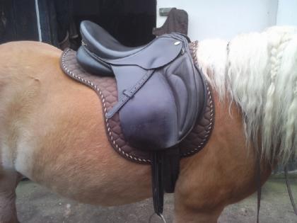Jorge Canaves Saphir VS Sattel 17 5 33 breite Kammer 3 Jahre