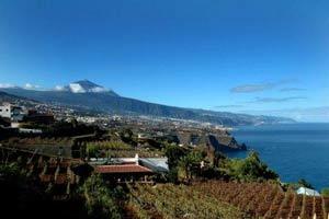 Appartment el Teide Teneriffa