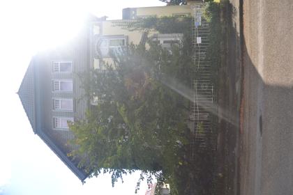 4-5 Zimmer in Villa 112 qm Solingen Mitte zentral aber ruhig