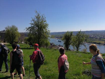 SIEBENGEBIRGE am Rhein FASTENWANDERN mit TERRA AKTIVA