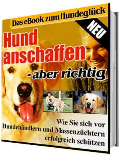 Hund anschaffen - aber richtig ebook