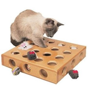 NEU Peek-A-Prize Katzenspielzeug