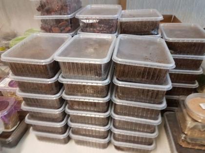 Heimchen 1 70 Euro Drosophila 2 50 Euro Springschwänze 2 50 Euro in Erfurt