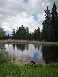 FASTENWANDERN IN SÜDTIROL SÜDTIROLER ALPEN DOLOMITEN ITALIEN