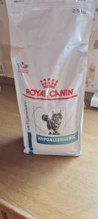 Junge Katze zu verkaufen