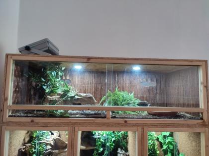 5 Schlangen inkl. Terrarien