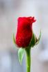 SENIOREN BETREUUNG PFLEGE und Hilfe aller Art