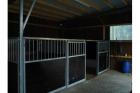 Geräumige Pferdebox zu vermieten